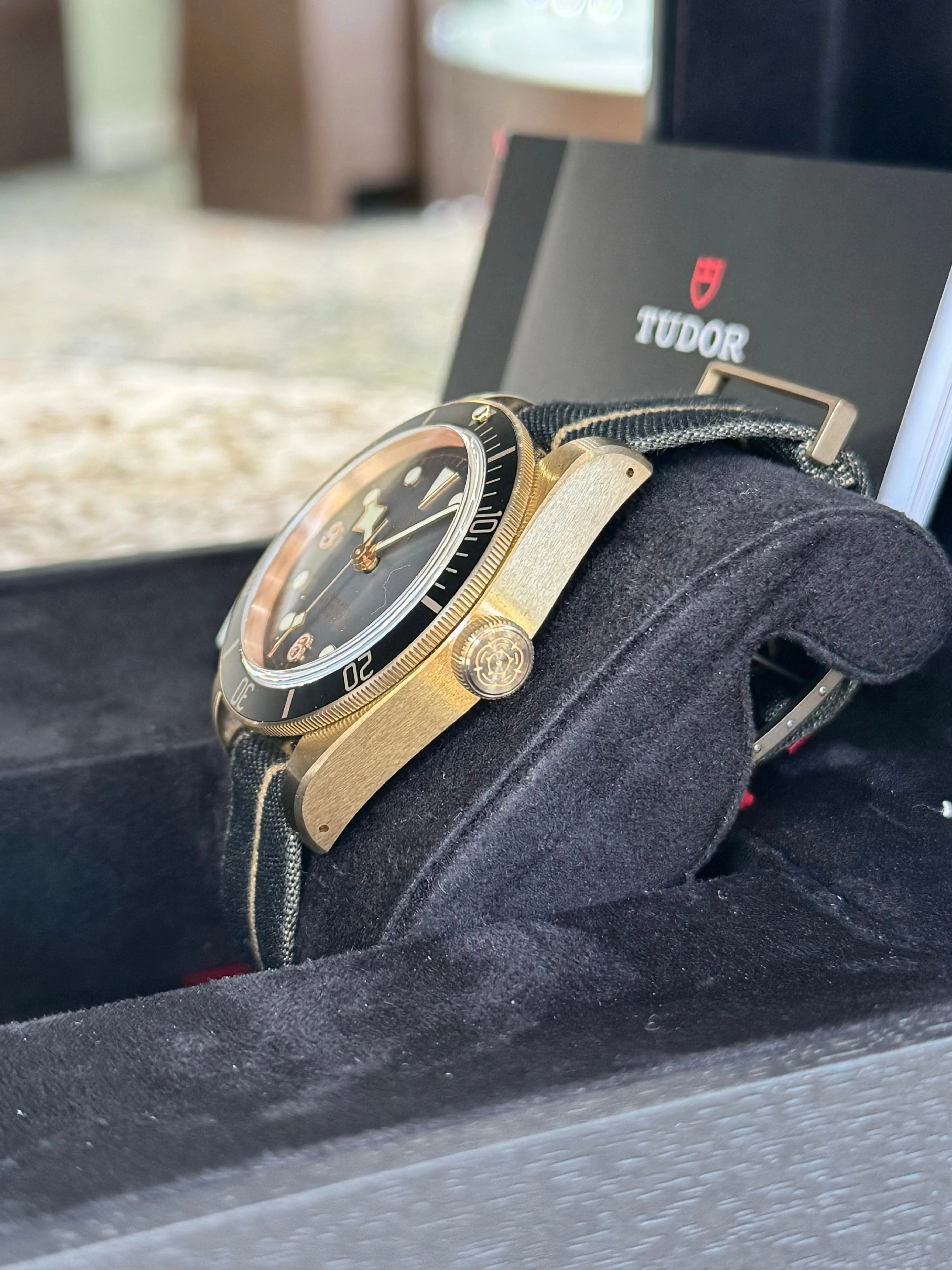 2024 Tudor Black Bay Bronze