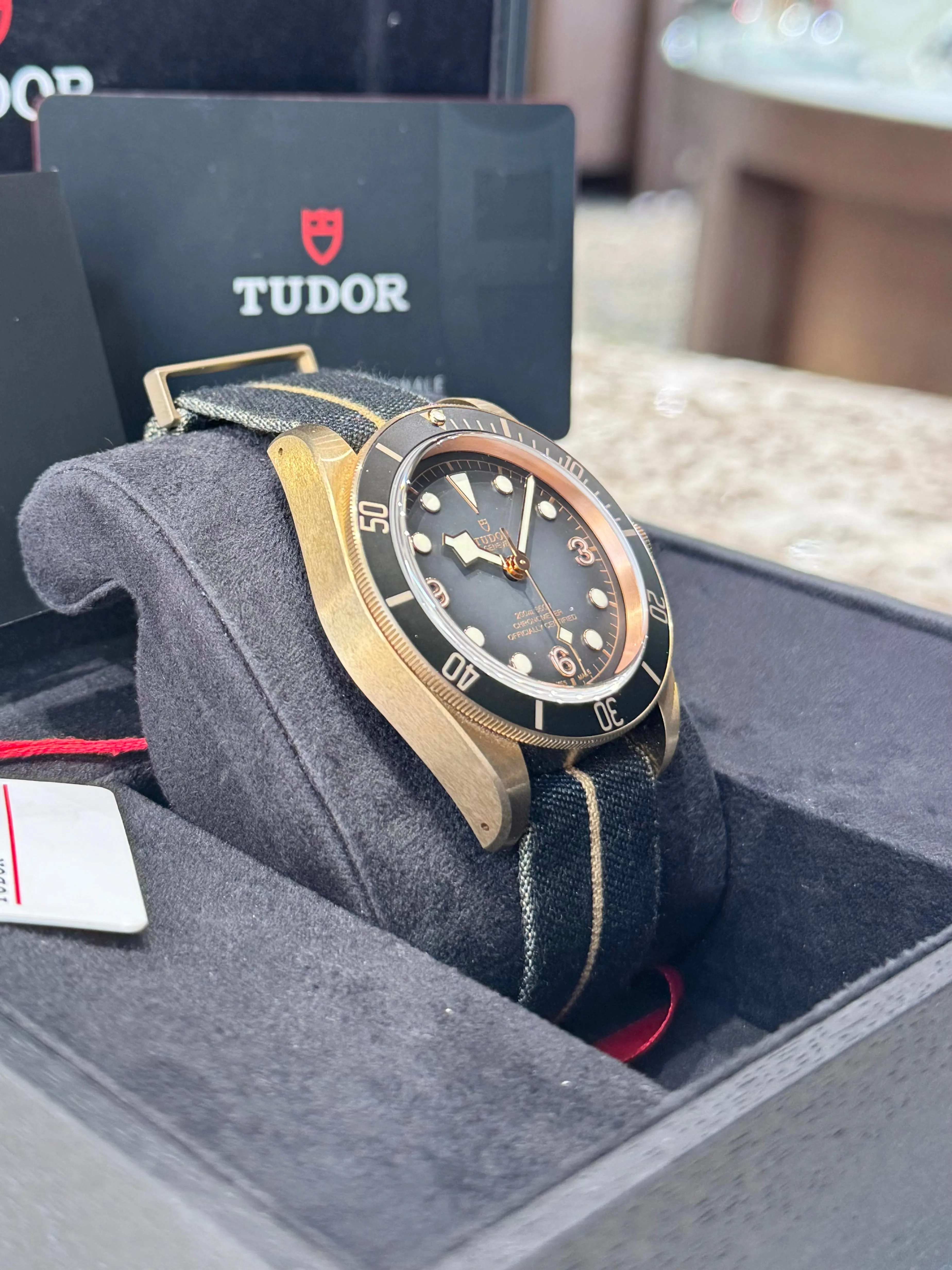 2024 Tudor Black Bay Bronze