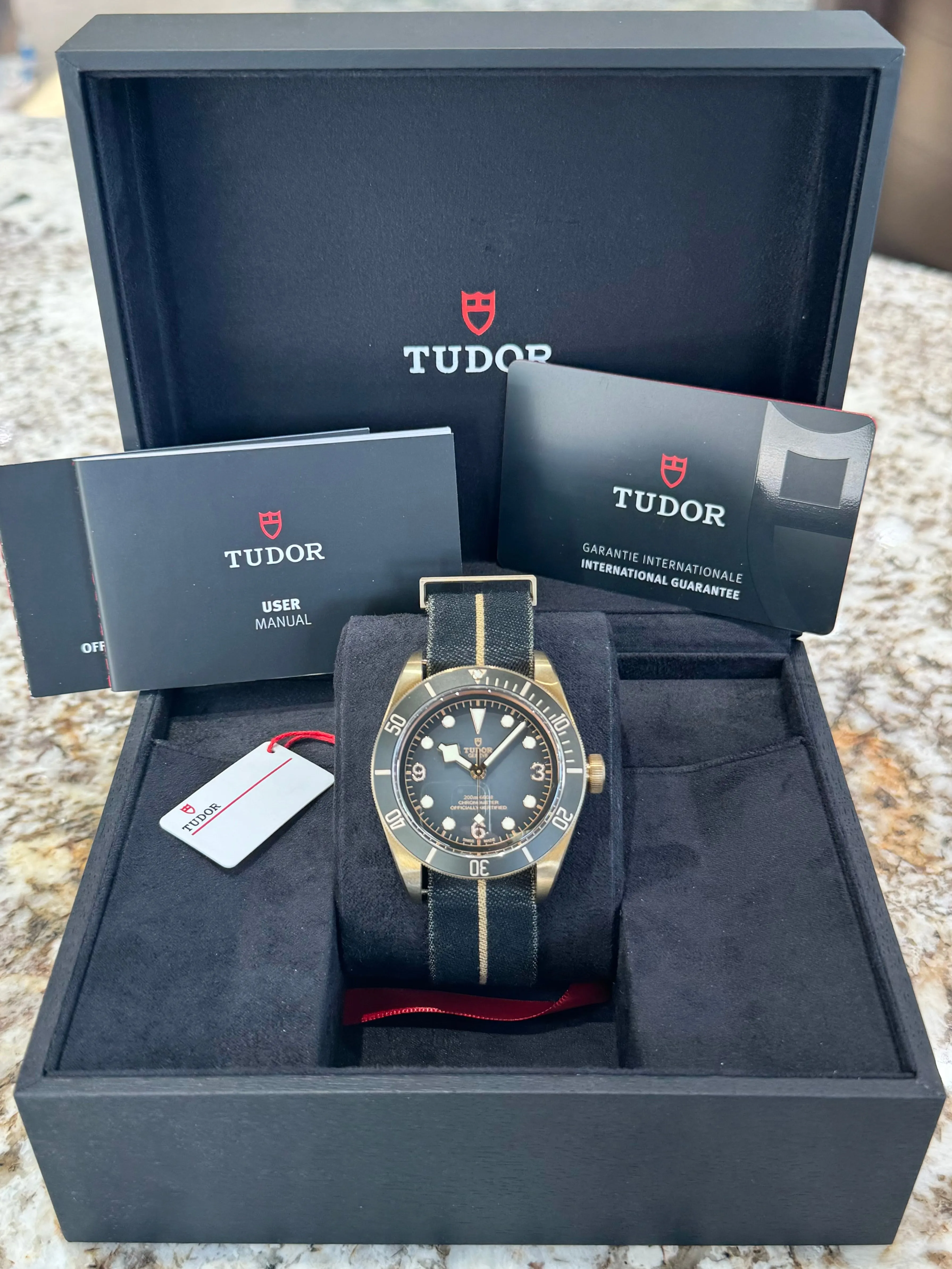 2024 Tudor Black Bay Bronze